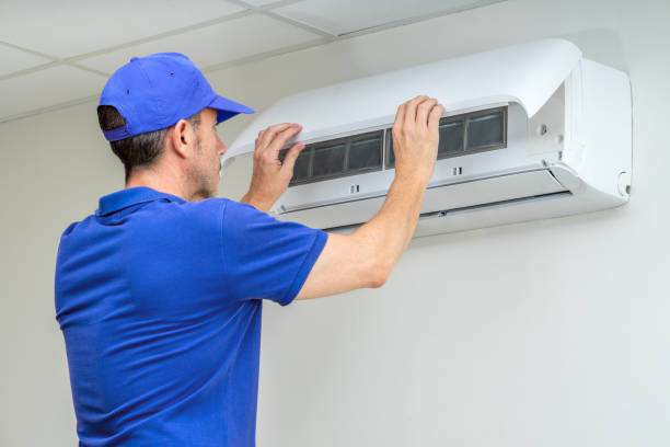 Best Air Duct Mold Removal  in Hillsboro, TX